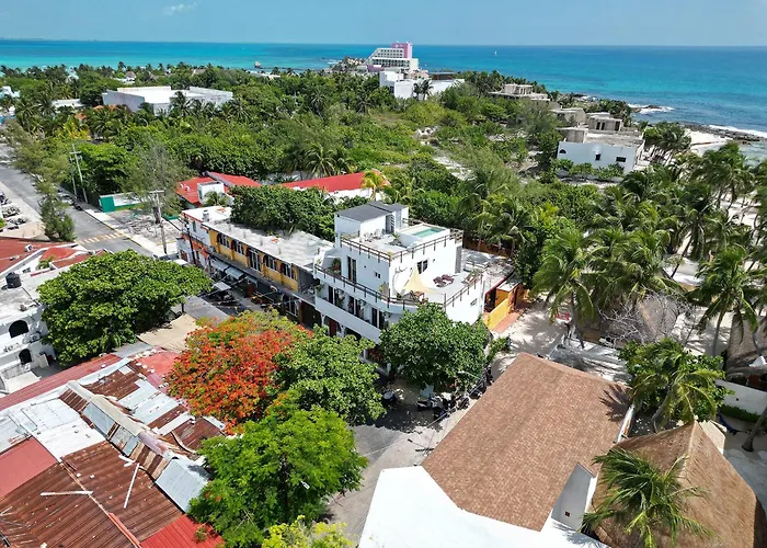 Casa Alkimia Town