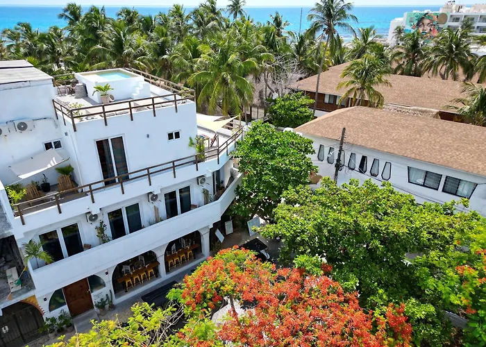 Casa Alkimia Town